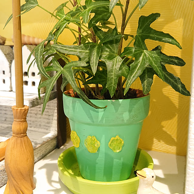 nitti.zakka.kohakuさんの実例写真