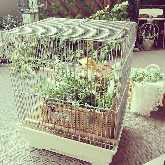 sanaさんの実例写真