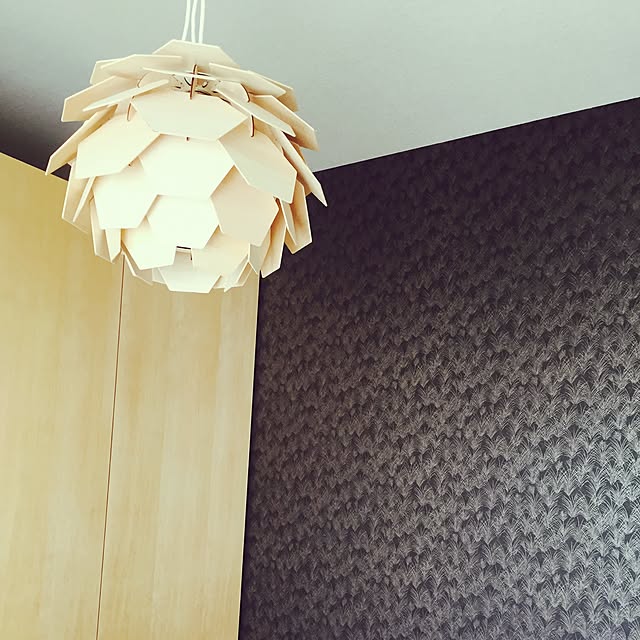 壁/天井/照明のインテリア実例 - 2015-10-03 23:59:16