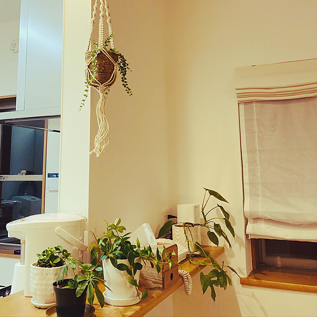観葉植物/キッチンのインテリア実例 - 2021-11-22 21:49:53