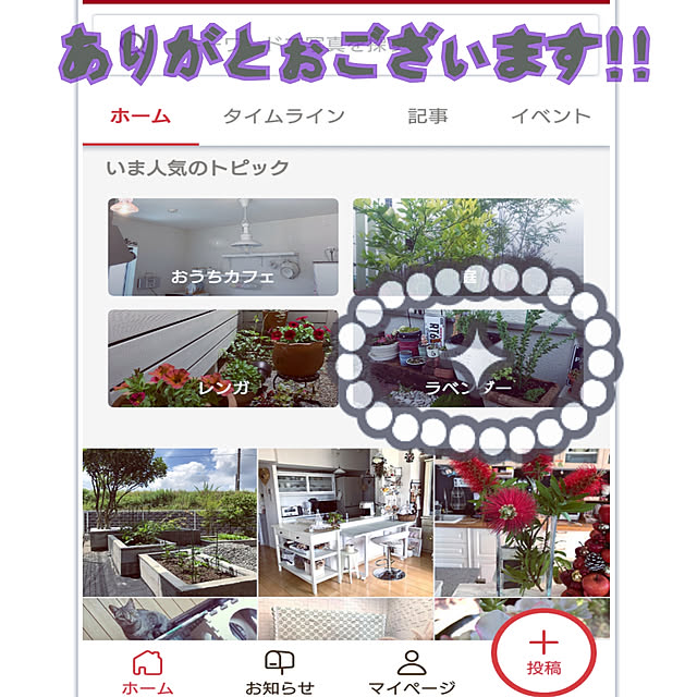 skhrさんの実例写真