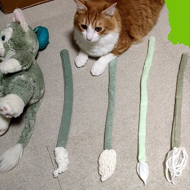 mori_6_12さんの実例写真