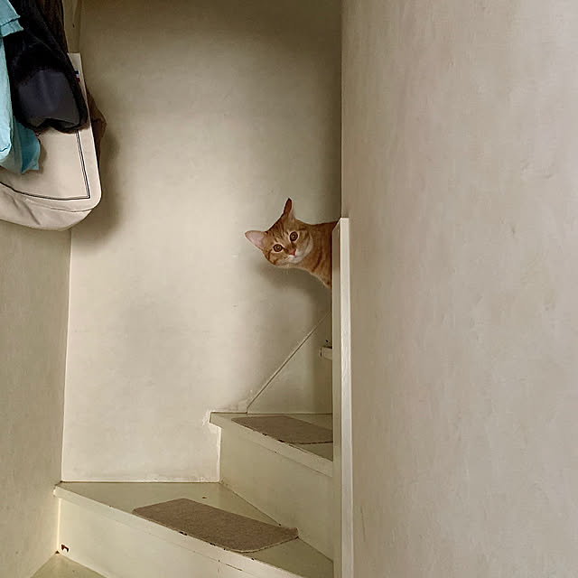 rijuさんの実例写真