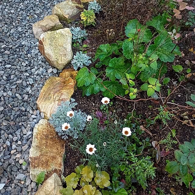 brooklynさんの部屋