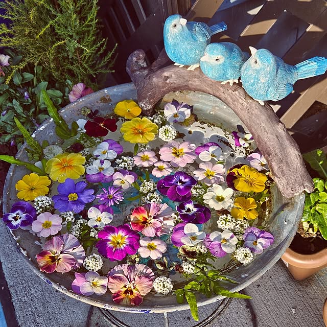mocomocoさんの部屋