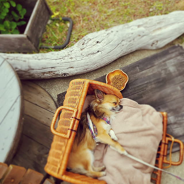kotasukyさんの実例写真