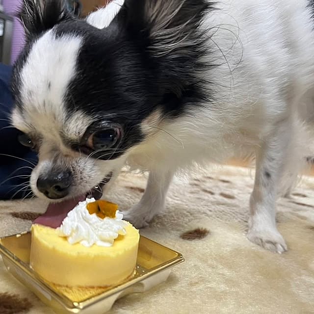 minnieさんの部屋