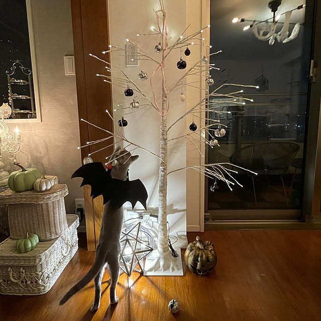 chicaさんの実例写真