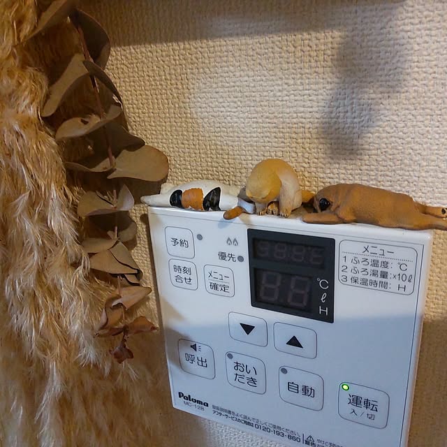 riwamamさんの実例写真