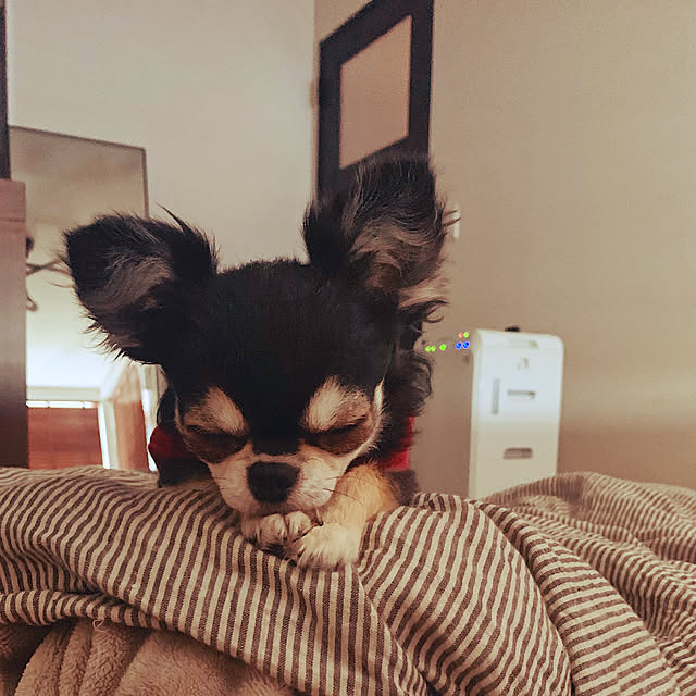 Benikaさんの実例写真