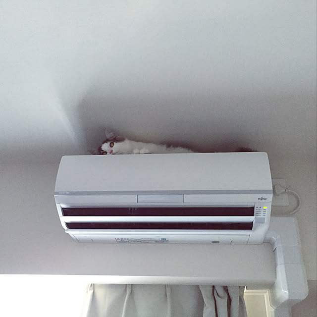 mofさんの実例写真