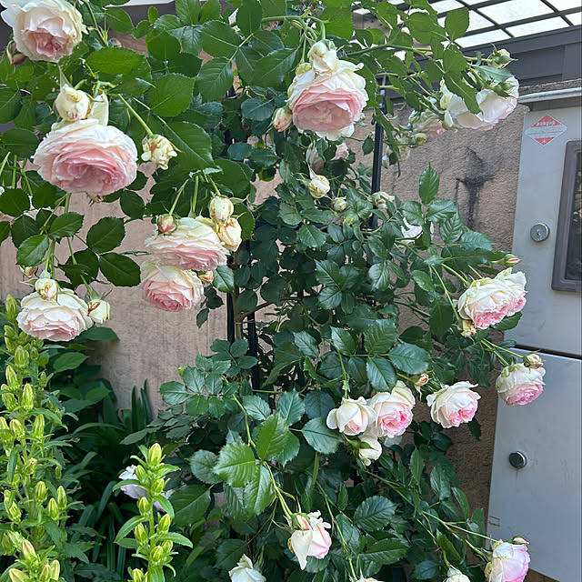 fumikoiさんの部屋
