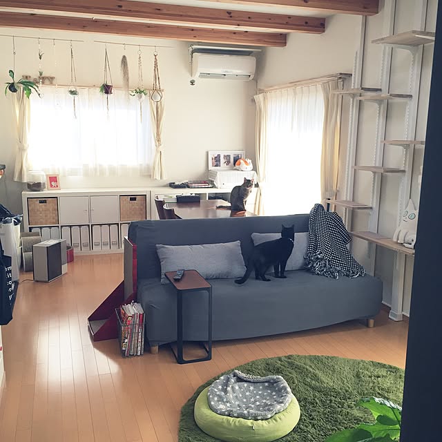 yuki0511さんの実例写真