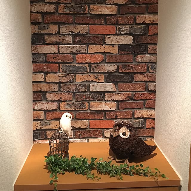 玄関/入り口/DIY/観葉植物/雑貨/フェイクグリーンのインテリア実例 - 2016-09-11 21:22:22