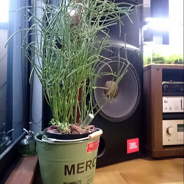 Type.Rさんの実例写真