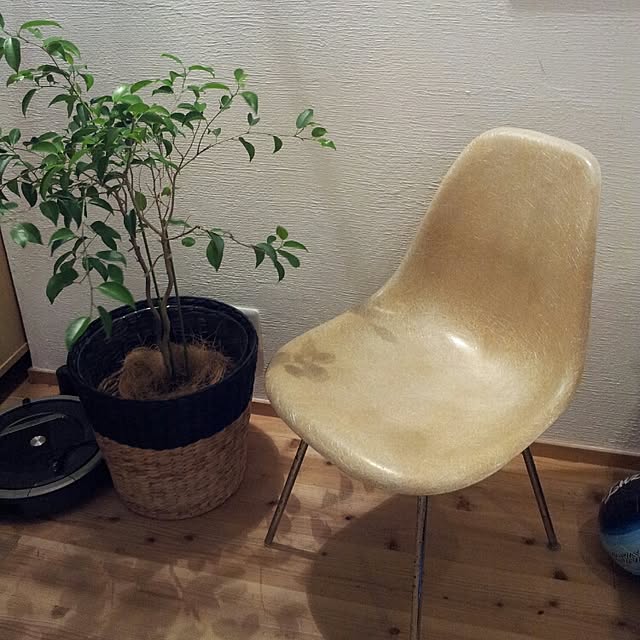 neneさんの実例写真