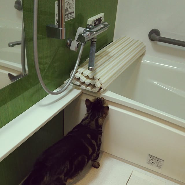 sorakoさんの実例写真