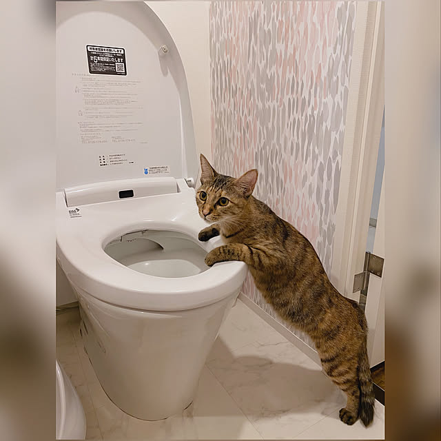 maruさんの実例写真