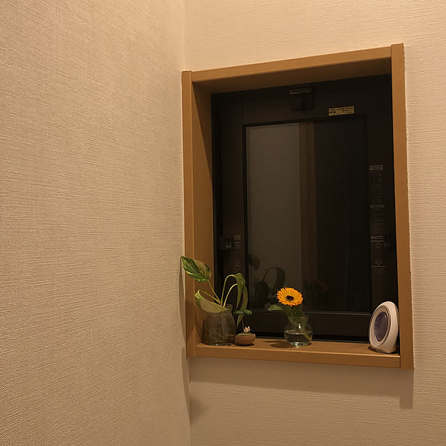一人暮らし/観葉植物/100均/バス/トイレのインテリア実例 - 2020-03-18 19:56:29