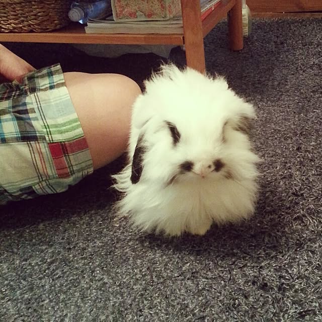 nonさんの実例写真