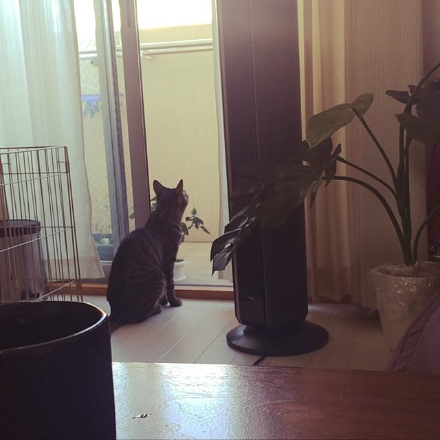 rennohana73さんの実例写真