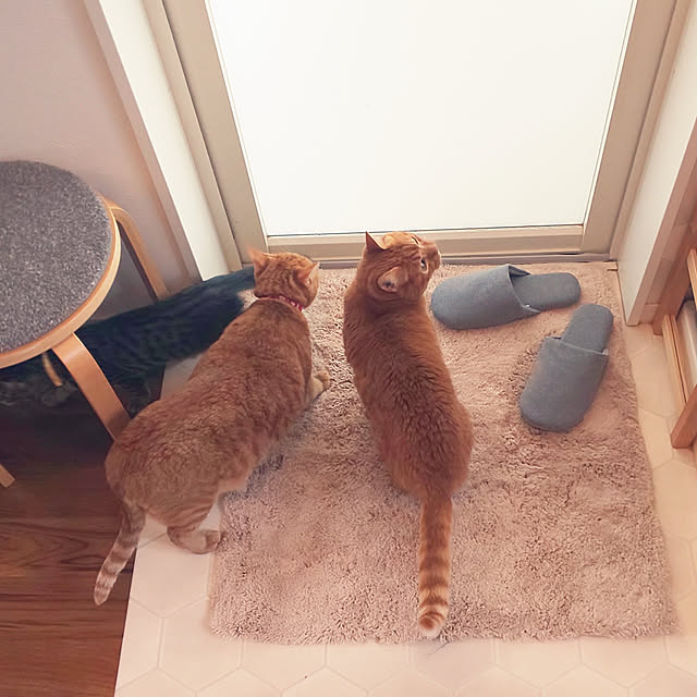 37さんの実例写真