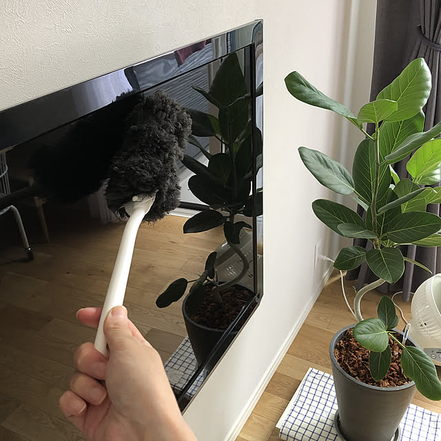 qinoさんの実例写真