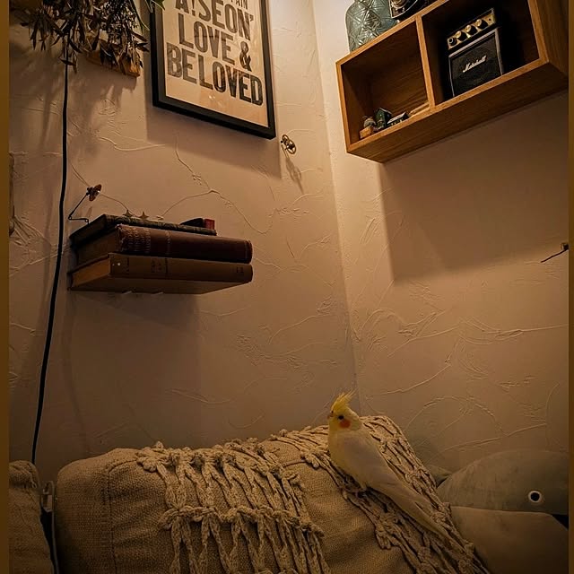 akiさんの実例写真