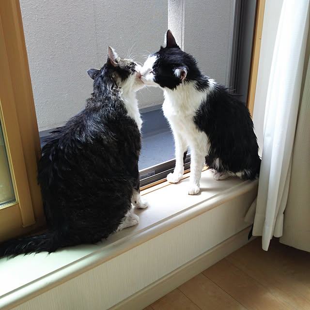 millsukeさんの実例写真