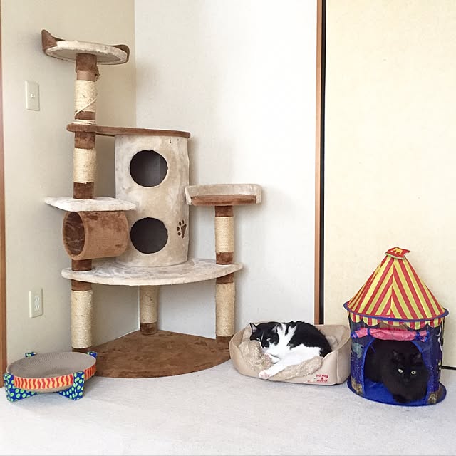 hoshinokakeraさんの実例写真