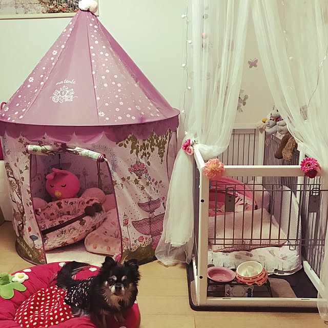 molpieさんの実例写真