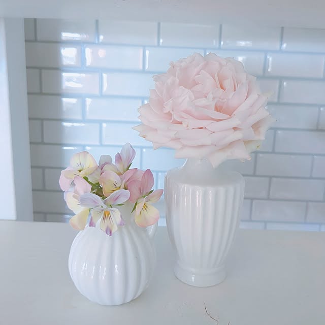 twinkle-butterfly38さんの部屋