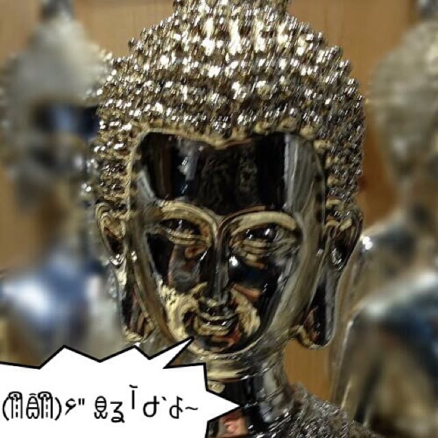 heboraさんの実例写真