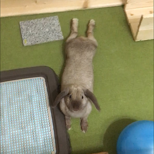 t.homeさんの実例写真