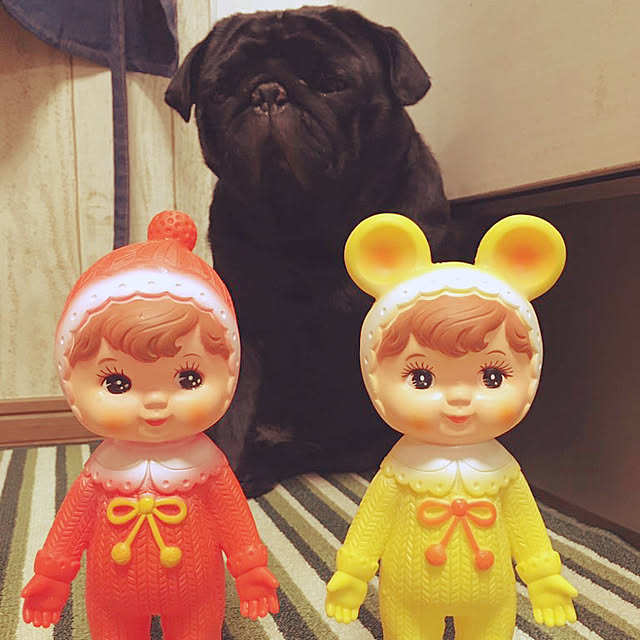 kopandaさんの実例写真