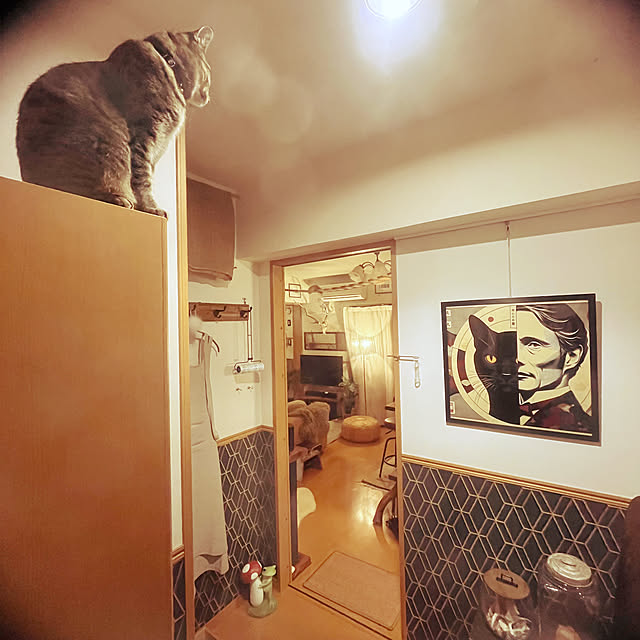 Mさんの部屋