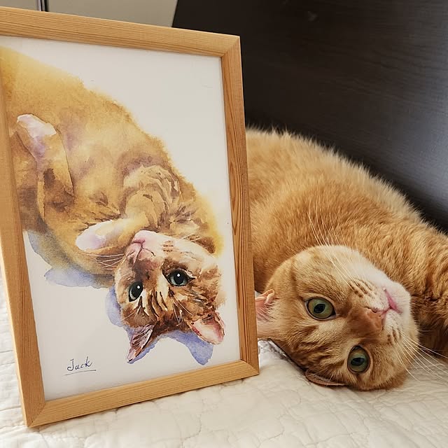 amtさんの実例写真