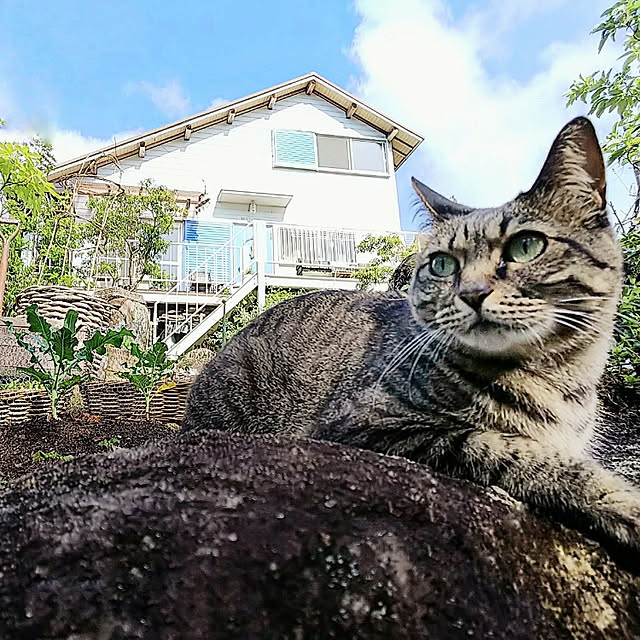 weさんの実例写真