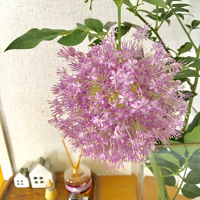 krkrさんの実例写真