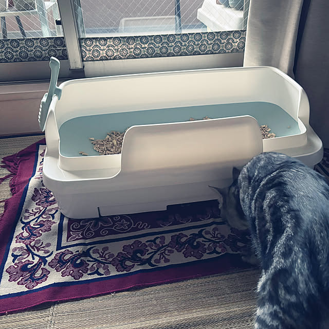 yuzuaoさんの実例写真