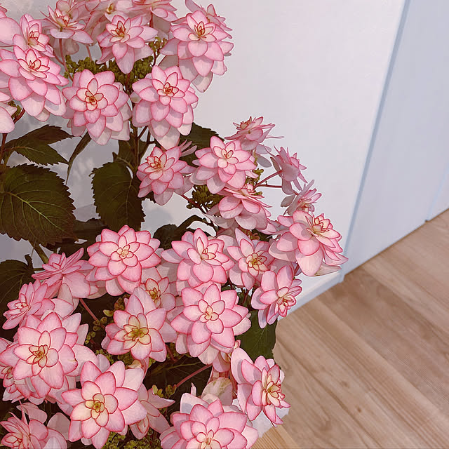 31htmさんの実例写真