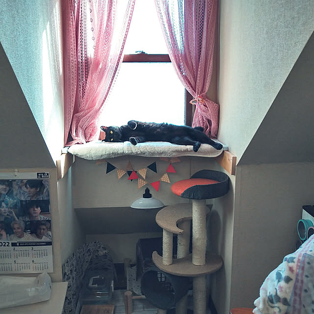 Tさんの実例写真