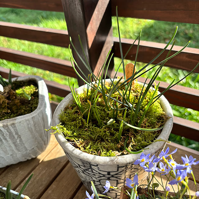 kyoko1124koさんの部屋