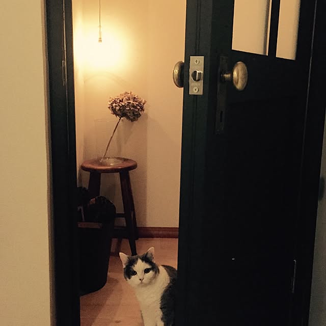 yunさんの実例写真