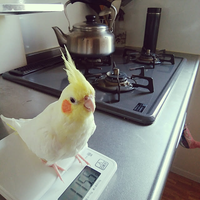 pontaさんの実例写真