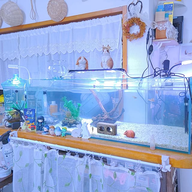 mariaさんの実例写真