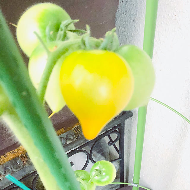 hanachanさんの実例写真