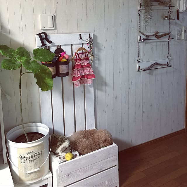 RURULOVEさんの実例写真