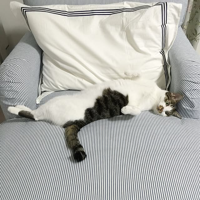 yuchiさんの実例写真