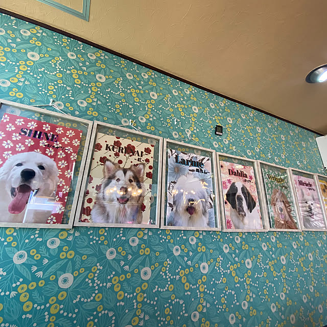 ohanaさんの部屋